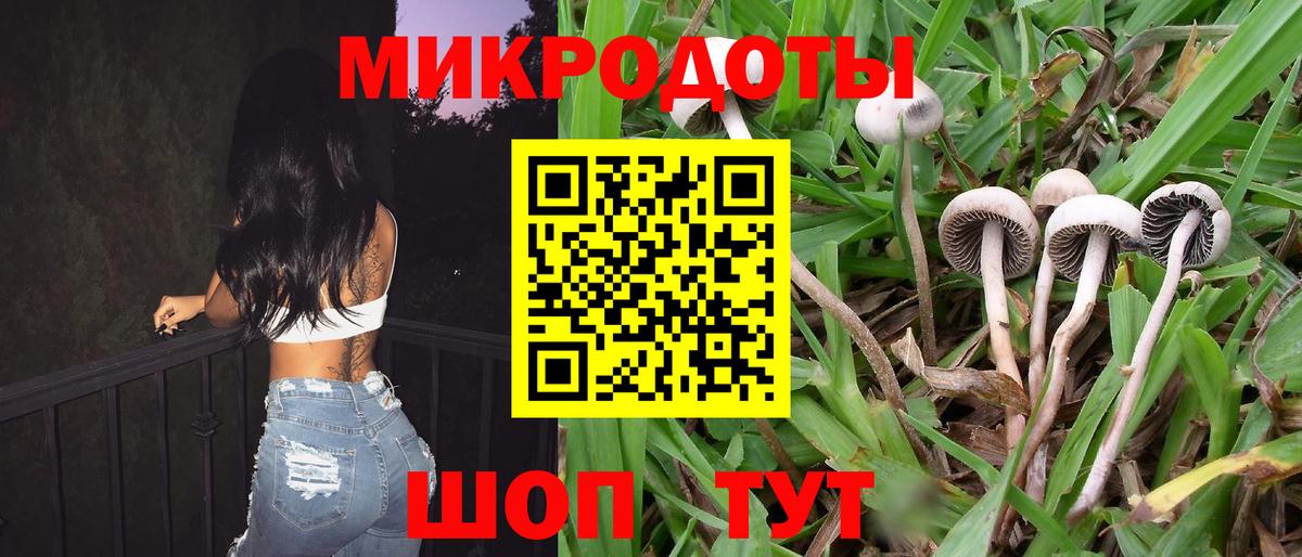 Галлюциногенные грибы Magic Shrooms  Вход с VPN  Великий Новгород 